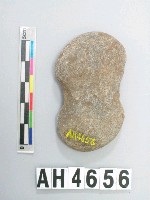 藏品(中砝碼型石網墜)的圖片